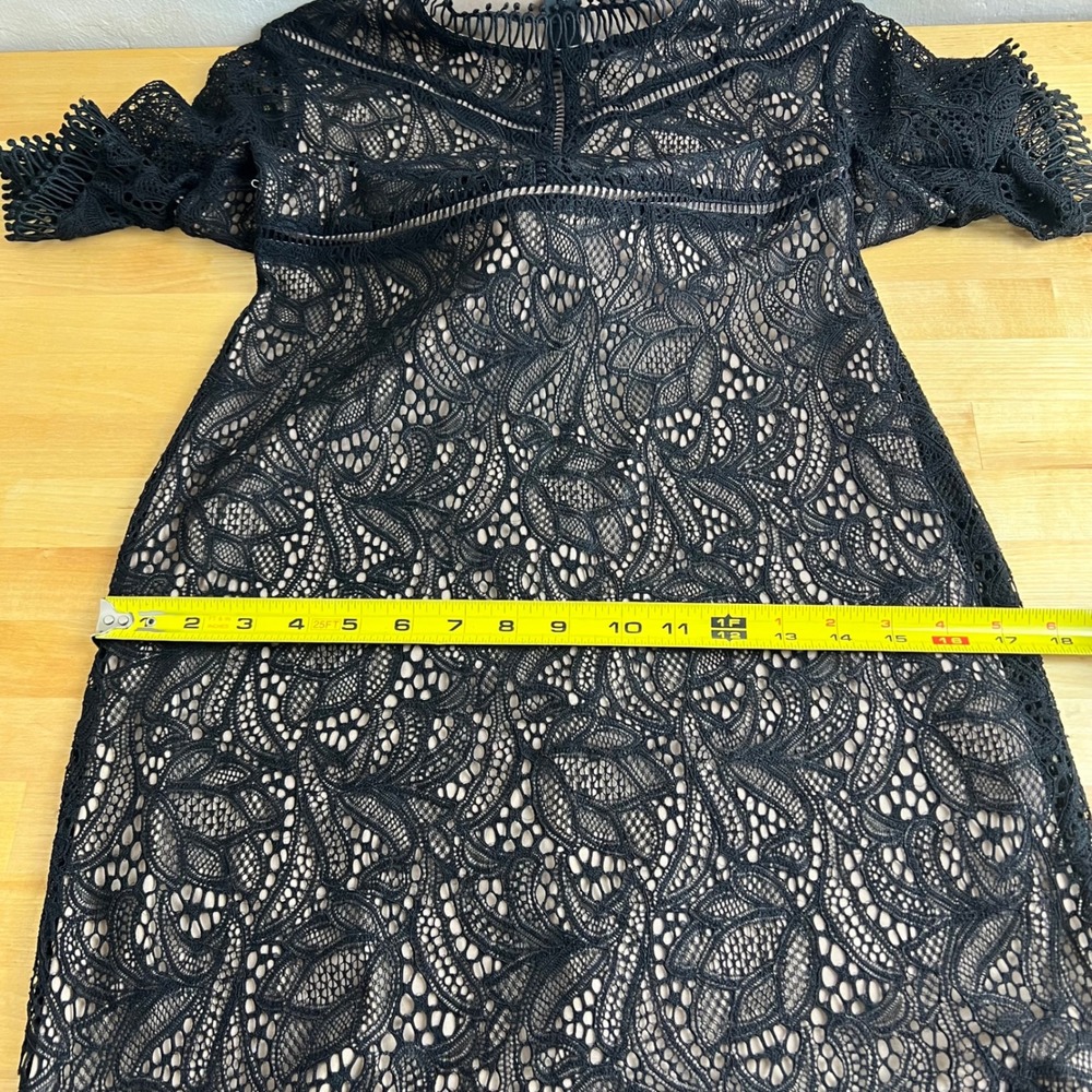Bardot Black Lace Mock Neck Knee Length Dress Sheath Theodora‎ Size 8 / Medium - Picture 11 of 12